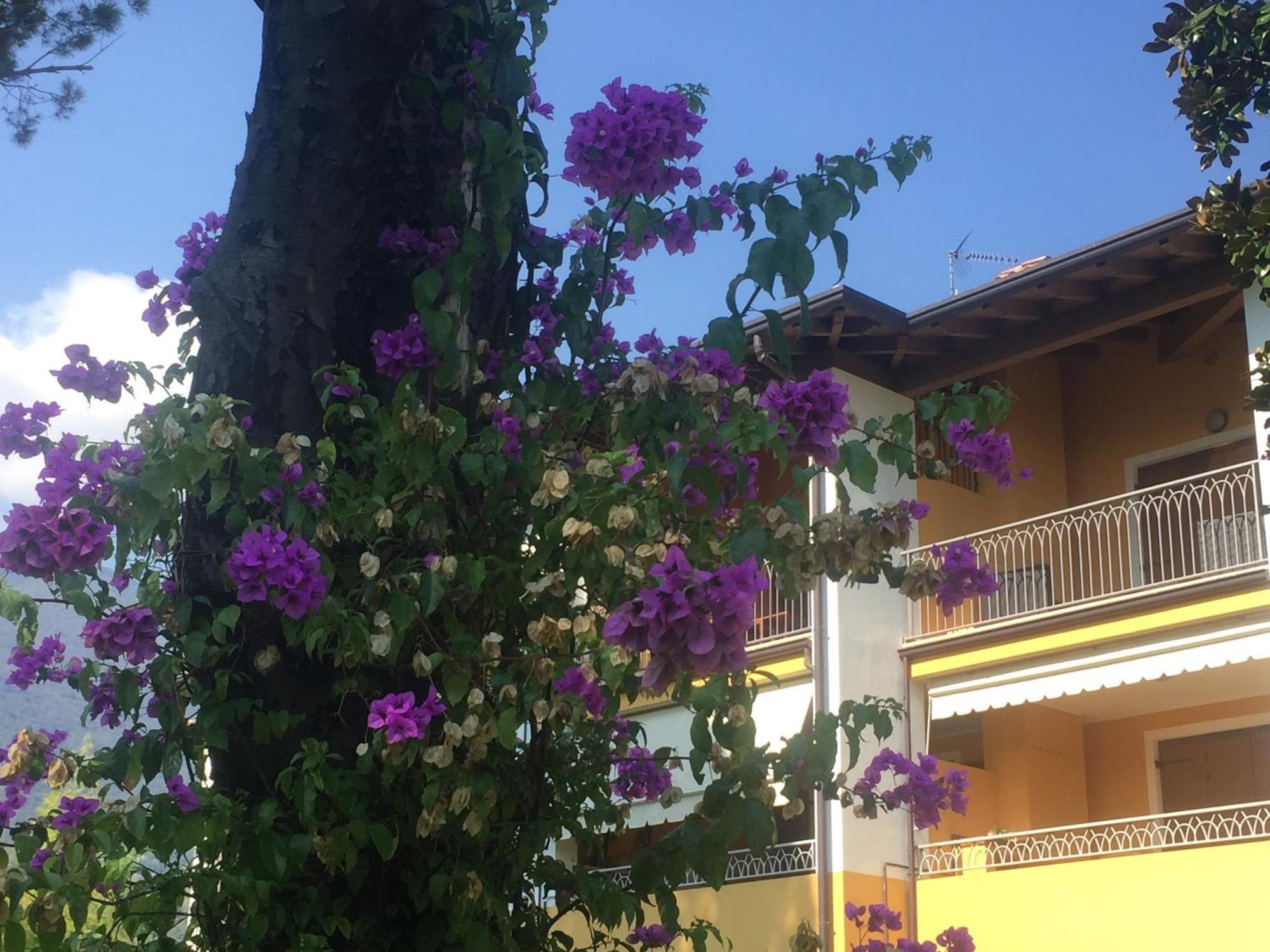 Casa Santi Il Silenzio Tra Lago E Montagna ตอสโกลาโน มาแดร์โน ภายนอก รูปภาพ